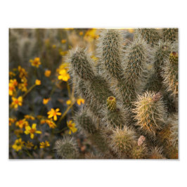 Foto Cactus y Wildflowers
