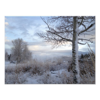 Foto Caer en Jackson Hole, WY