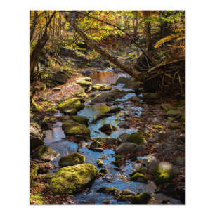 Foto Caer por un arroyo en las montañas Catskill