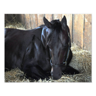 Foto Caída de la roca por Speightstown - Renda