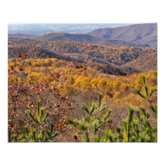 Foto Caída en el Parque Nacional de Shenandoah