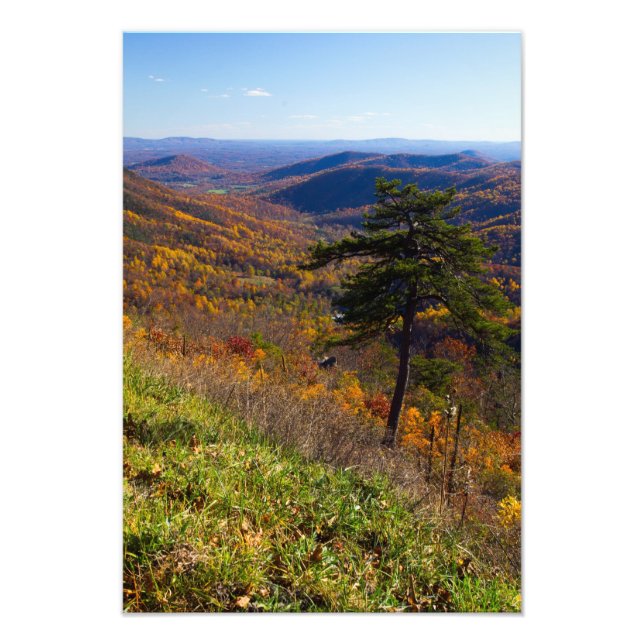 Foto Caída en el Parque Nacional Shenandoah, Virginia (Frente)