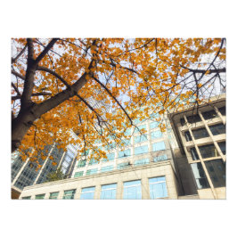 Foto Caída en la ciudad