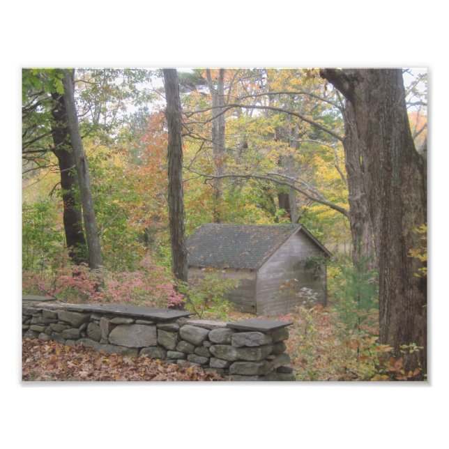 Foto Caída En Nueva Inglaterra (Frente)