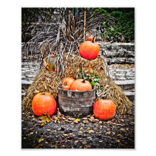Foto Calabazas de Quebec