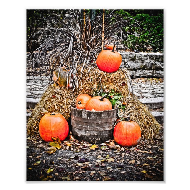 Foto Calabazas de Quebec (Frente)