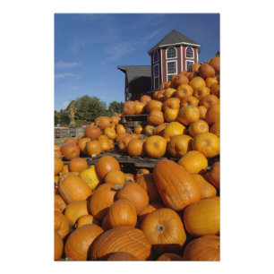 Foto Calabazas en granja en otoño cerca de la