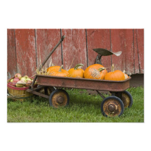 Foto Calabazas en viejo carro