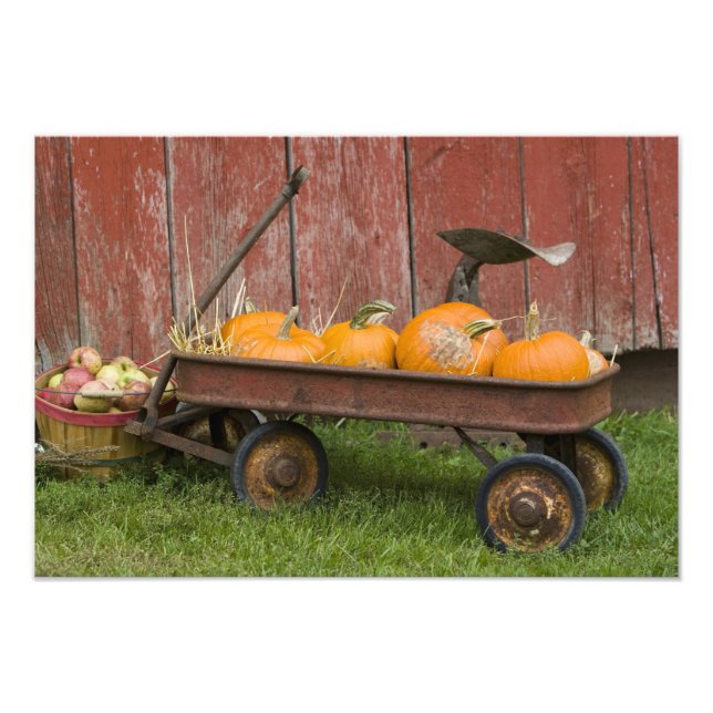 Foto Calabazas en viejo carro (Frente)
