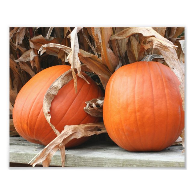Foto Calabazas Y Estalles De Maíz Seco Otoño 8x10 (Frente)