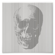 Calavera de ilusión óptica