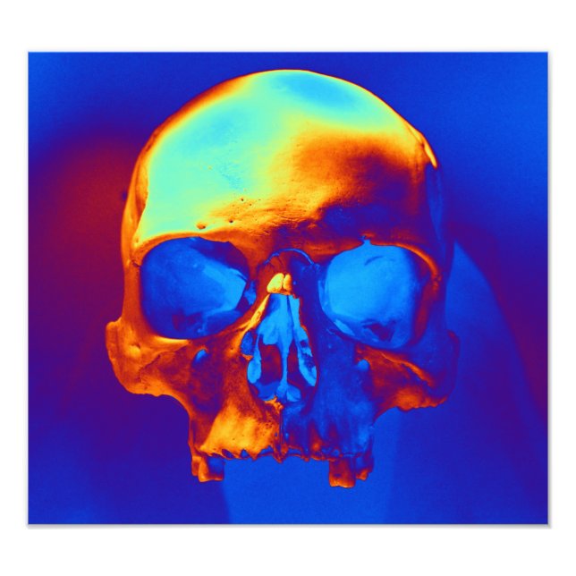 Foto Calavera en azul y oro (Frente)