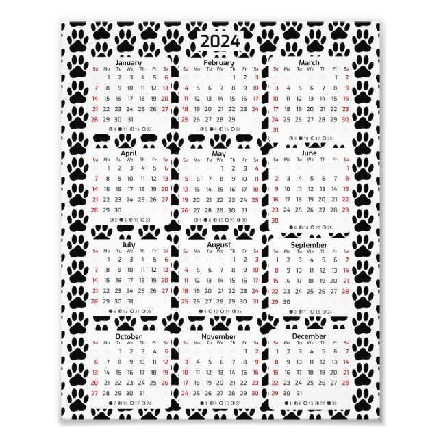 Foto Calendario del patrón de huellas de perro 2024 (Frente)