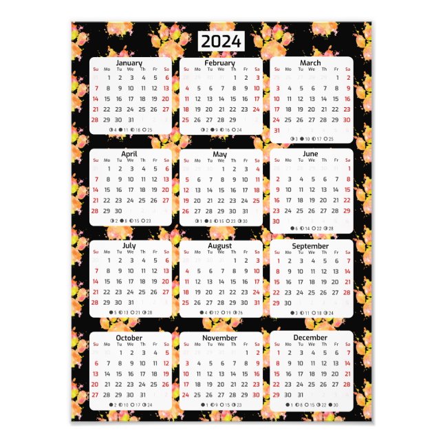 Foto Calendario Vivid Watercolor Splash Dog Paw 2024 (Frente)