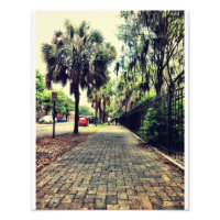 Calle Abercorn En El Cementerio Colonial