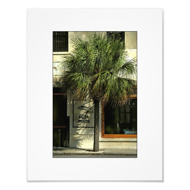 Foto Calle Charleston con árbol Palmetto (Frente)