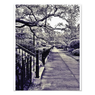 Foto Calle de Gastón