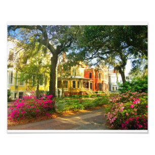 Foto Calle Whitaker En Marzo