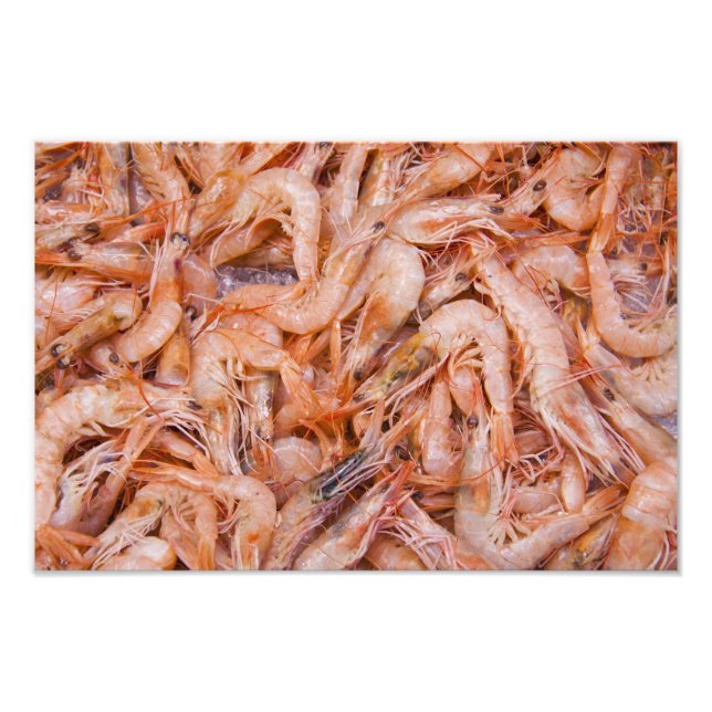 Foto Camarones (Frente)