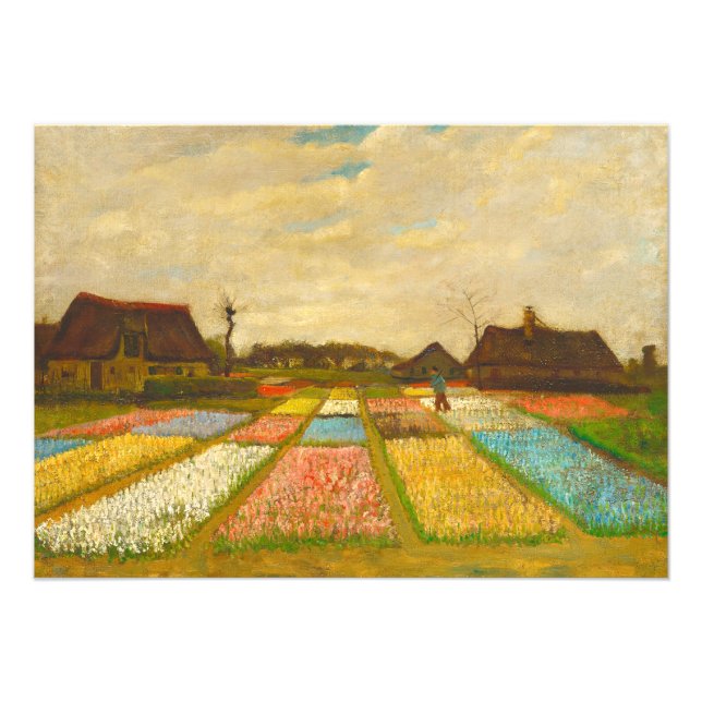 Foto Camas de flores Vincent van Gogh en Holanda (Frente)