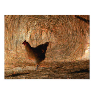 Foto "Caminando" - Pollo fotográfico mejorado digitalme