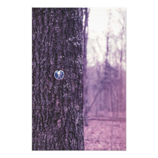 Foto Caminar por el parque