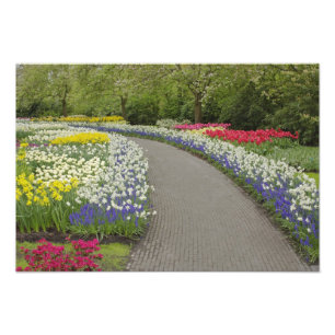 Foto Camino de acera a través de tulipanes y narcisos,