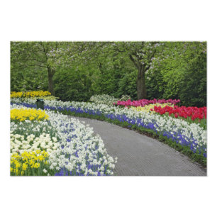 Foto Camino de acera a través de tulipanes y narcisos,