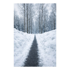 Foto Camino de bosque invernal brumoso Póster de paisaj