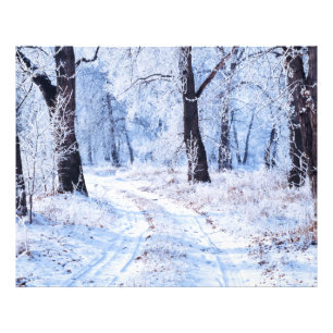 Foto Camino de invierno