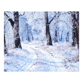 Foto Camino de invierno