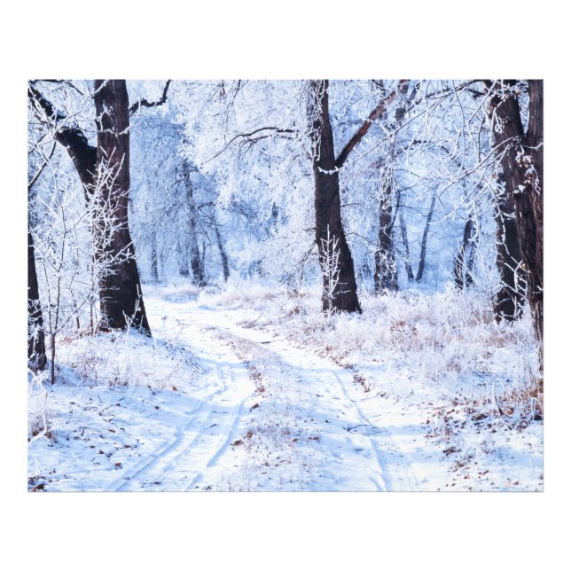 Foto Camino de invierno (Frente)