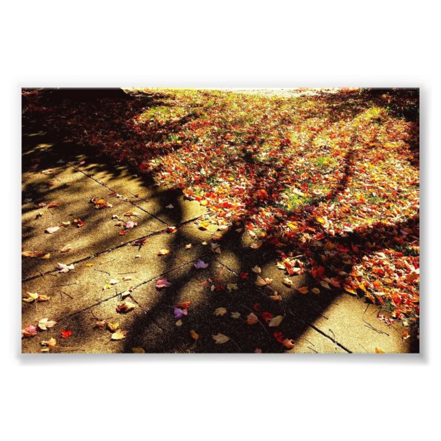 Foto Camino de otoño (Frente)