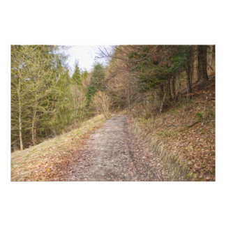 Foto Camino de primavera en el bosque