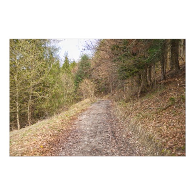 Foto Camino de primavera en el bosque (Frente)