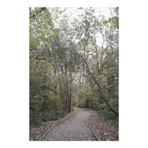 Foto Camino Tranquilo de Otoño en el Bosque – Edición E