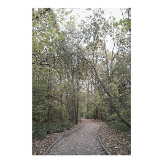 Foto Camino Tranquilo de Otoño en el Bosque – Edición E