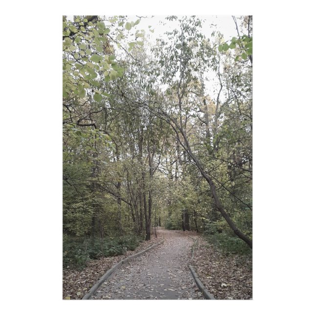 Foto Camino Tranquilo de Otoño en el Bosque – Edición E (Frente)