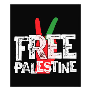 Foto Camiseta de alto el fuego patriótico palestino Lib