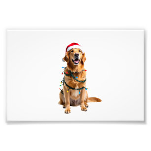 Foto Camiseta de perro de Navidad, Papá Noel Retriever 
