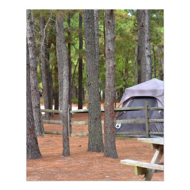 Foto Campamento con tienda y valla en los bosques (Frente)