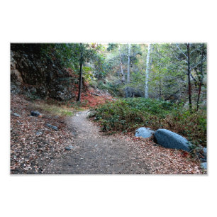 Foto Campamento del Cañón del Oso
