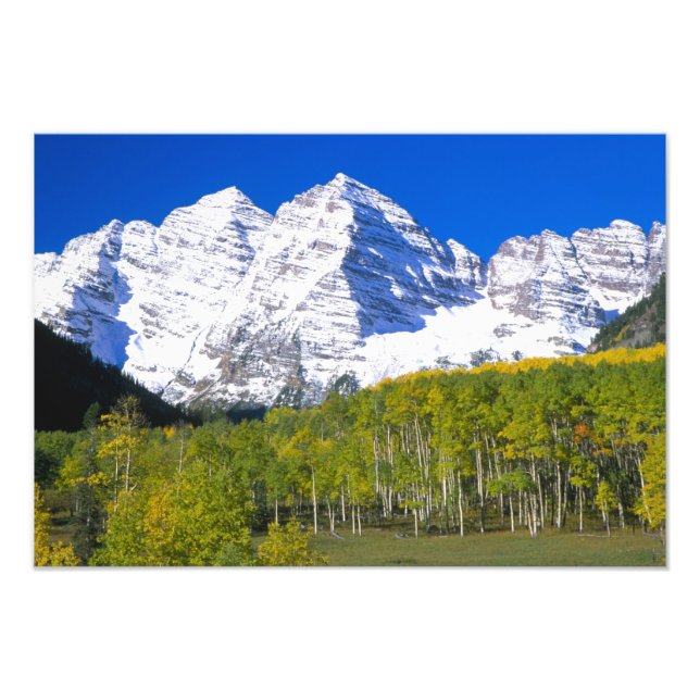 Foto Campanas Marrón con bosque de álamos en otoño. (Frente)