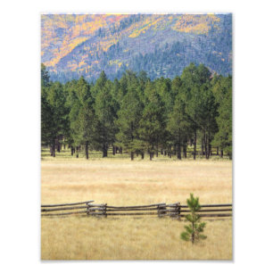 Foto Campo colorido de Flagstaff