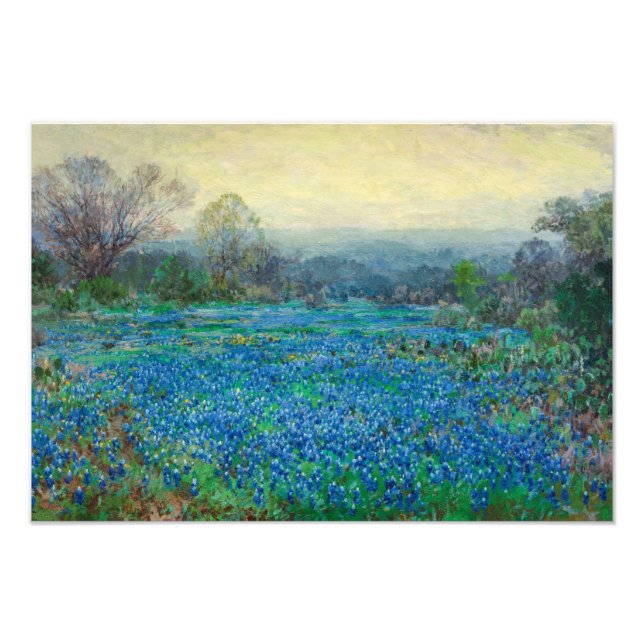 Foto Campo de Bluebonnets, 1918-1920, por Julian Onderd (Frente)
