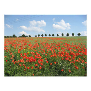 Foto Campo de disquete