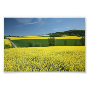 Foto Campo de la rabina cerca de Bavenhausen, Alemania