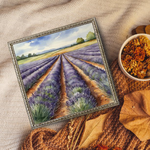 Foto : Campo de lavanda tranquila