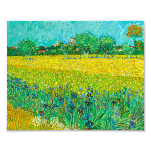 Foto Campo Van Gogh con irlandeses cerca de Arles
