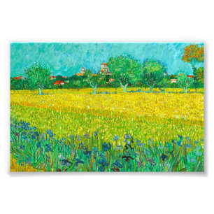 Foto Campo Van Gogh con irlandeses cerca de Arles